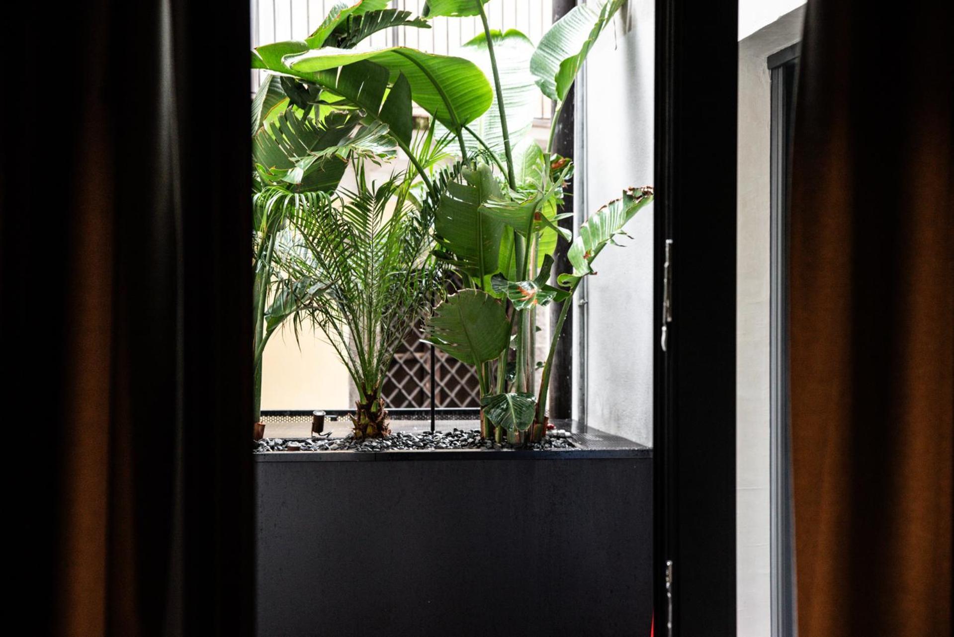 Terme Di Bacco - Design Apartaments And Spa كاتانيا المظهر الخارجي الصورة